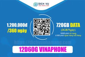 Gói 12D60G Vinaphone - Ưu đãi 720GB & Miễn phí 18.600 phút gọi thoại