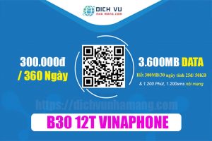 Gói B30 12T Vinaphone - Ưu đãi 3.6GB & Gọi, SMS tiết kiệm đến 60.000đ