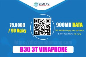 Gói B30 3T Vinaphone - Ưu đãi 900MB & 300SMS, 300 phút gọi nội mạng