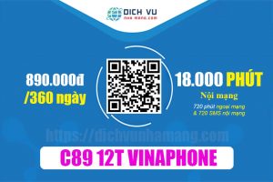 Gói C89 12T Vinaphone - Ưu đãi 18.720 phút gọi thoại & 720 SMS