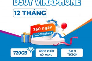 Gói D50Y 12T Vinaphone nhận 720GB, Miễn phí gọi, Zalo, TikTok chỉ 600K