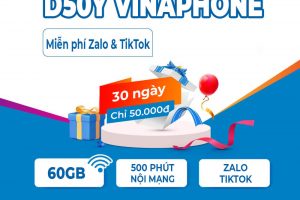 Gói D50Y Vinaphone nhận ngay 60GB, Miễn phí gọi, Zalo, TikTok chỉ 50K